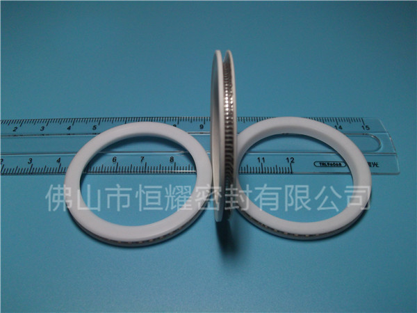 HVF、HVG端面內(nèi)、外向泛塞封 (10)