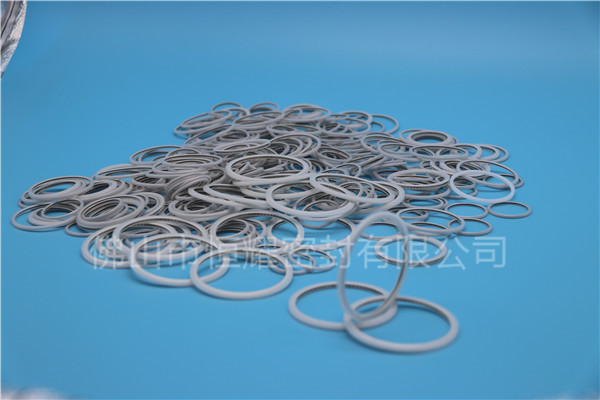 HVF、HVG端面內(nèi)、外向泛塞封 (24)