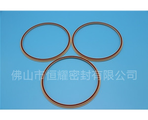 食品機械密封件 (48)