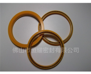 HOD、HVD旋轉泛塞封 (8)