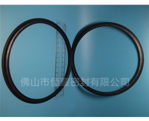 HOD、HVD旋轉泛塞封 (13)