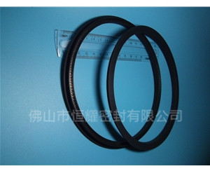 HOD、HVD旋轉泛塞封 (15)