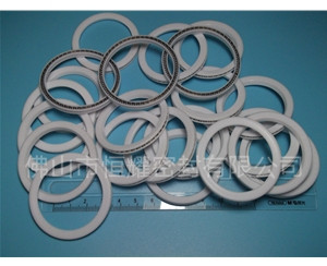 HVF、HVG端面內、外向泛塞封 (9)