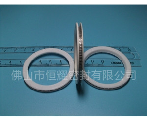 HVF、HVG端面內、外向泛塞封 (10)