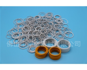 HVF、HVG端面內、外向泛塞封 (19)