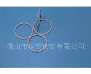 HVF、HVG端面內、外向泛塞封 (20)