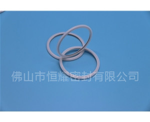 HVF、HVG端面內、外向泛塞封 (21)