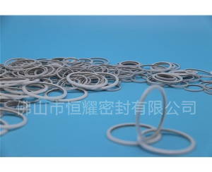 HVF、HVG端面內、外向泛塞封 (23)